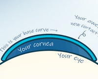 What is a contact lens base curve, and how does it affect you?