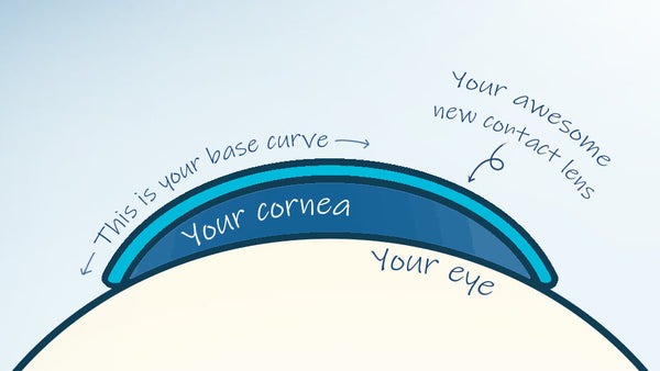 What is a contact lens base curve, and how does it affect you?